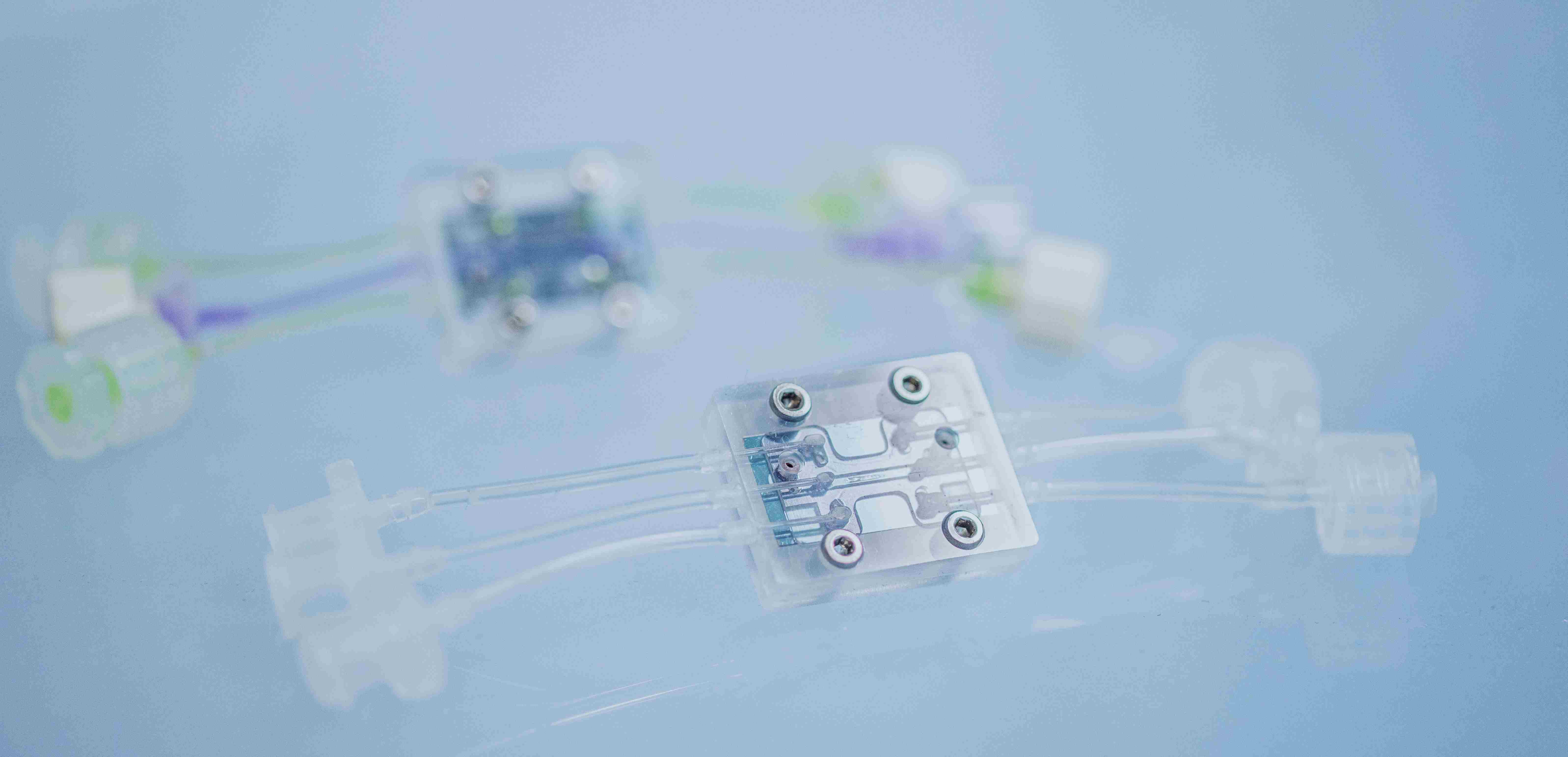 Merck and imec develop organ-on-chip platform | NanoIC pilot line